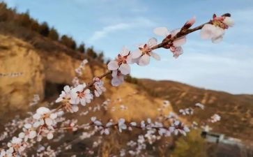 读文化苦旅心得体会最新8篇