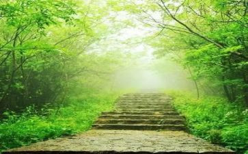 家庭的苦与乐作文优质6篇