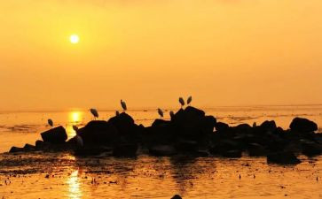 关于受苦的作文7篇