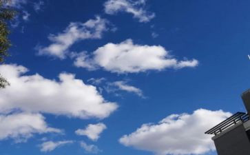 蓝天下的作文优秀6篇