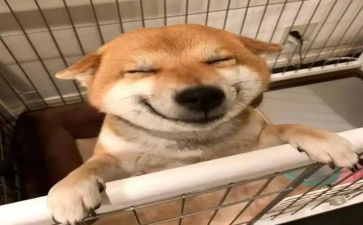 我劳动我快乐作文范文5篇