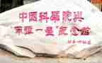 观两弹一星心得体会5篇