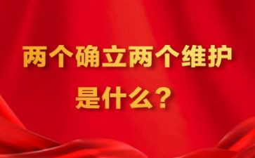 两个确立心得体会200字6篇