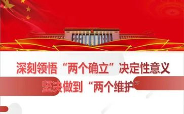 两个维护两个确立心得体会8篇