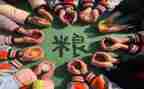 国际粮食节活动总结6篇