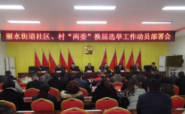 村两委会2024年工作总结优秀6篇