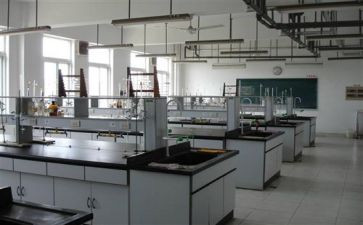 上学期理化生教研组工作计划6篇