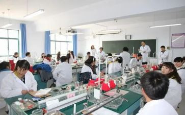 理化组教研工作计划8篇