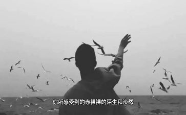 要离开的作文精选5篇