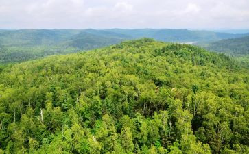 国有林场2023年工作总结7篇