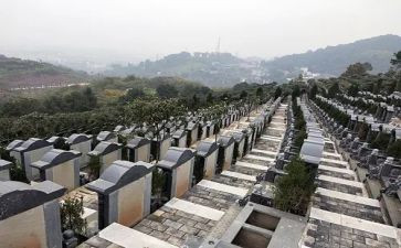 陵园扫墓作文6篇