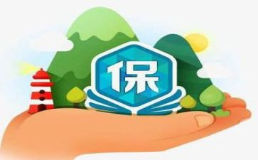 保险理赔的心得体会8篇