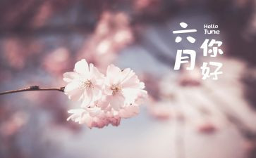2024年中班六月份月总结7篇