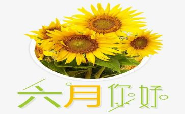 六月安全心得体会6篇