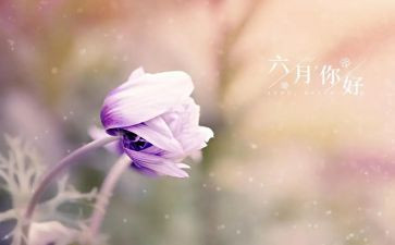 六月的活动总结5篇