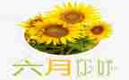 六月周工作计划优秀5篇