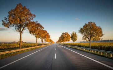 在我成长道路上的作文8篇