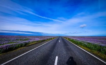 在我成长道路上的作文优秀5篇