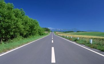 观看《路》心得体会6篇