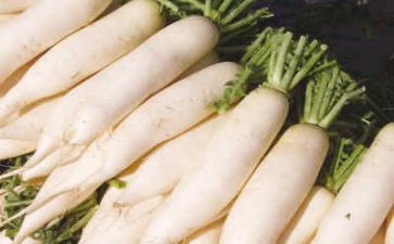 大萝卜小萝卜游戏教案5篇