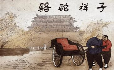 骆驼和养读后感参考6篇