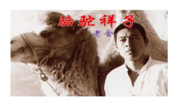 骆驼和养读后感通用8篇