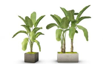 园林绿化股个人总结7篇