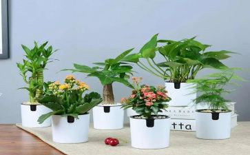 绿化园林工作总结模板5篇