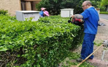绿化科年终工作总结8篇