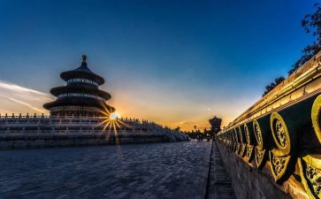 旅游社工作个人总结8篇