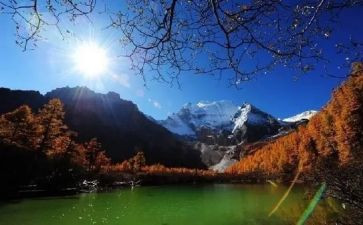旅游社个人年度总结5篇