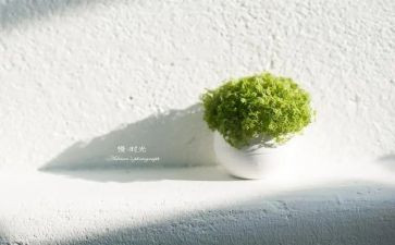 快速度与慢速度作文精选7篇