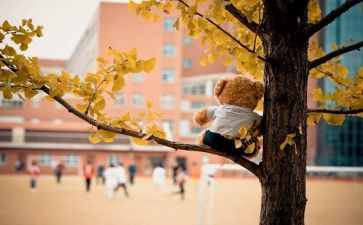 中考社会类满分作文6篇