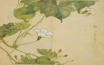 关于氓的读后感推荐7篇