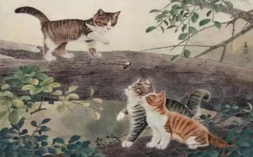 关于猫的读后感精选8篇