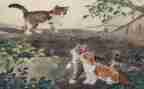 我的猫作文200字推荐6篇