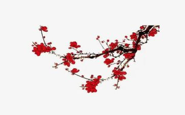 梅花魂读后感优质7篇