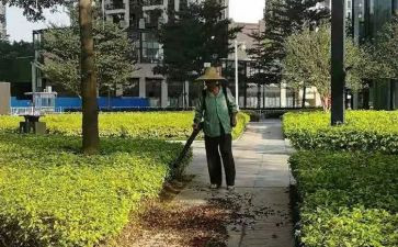 美化节活动总结7篇