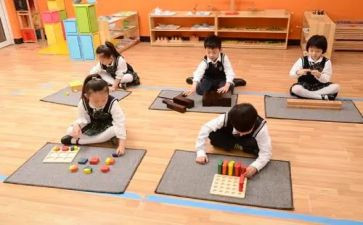 蒙氏幼师学期个人总结通用8篇