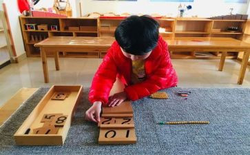 幼儿园蒙氏中班个人总结模板6篇