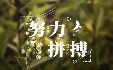 名人书读后感精选8篇