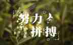 名人书读后感精选8篇