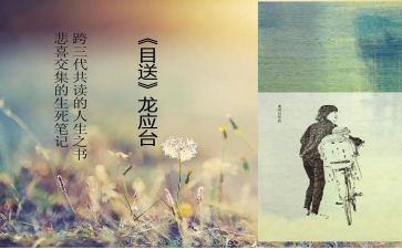 《目送》读后感优秀8篇
