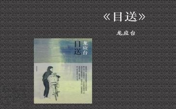 《目送》的读后感7篇