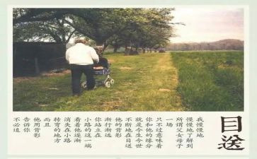 《目送》的读后感优秀6篇