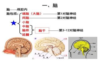 电脑销售工作年终总结5篇