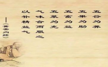 内经的心得体会8篇
