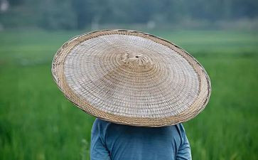 狼与农夫的读后感7篇