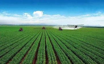 农业银行面试自我介绍范文5篇