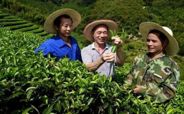 农艺师2024工作总结范文6篇